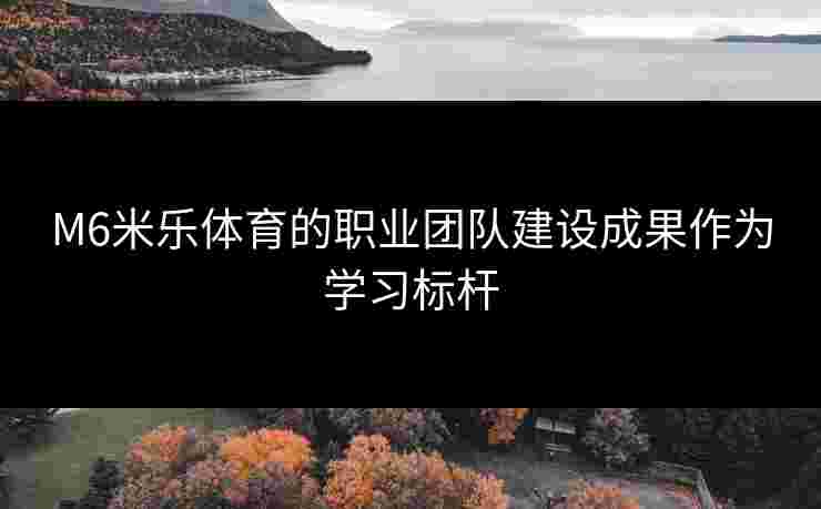 M6米乐体育的职业团队建设成果作为学习标杆
