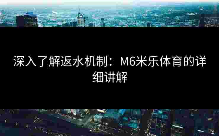 深入了解返水机制：M6米乐体育的详细讲解