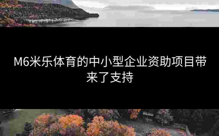 M6米乐体育的中小型企业资助项目带来了支持